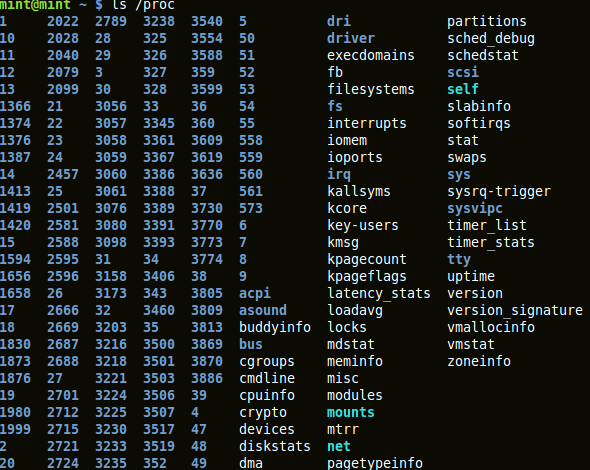 output of 'ls /proc'