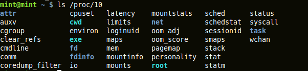 output of 'ls /proc/pid'