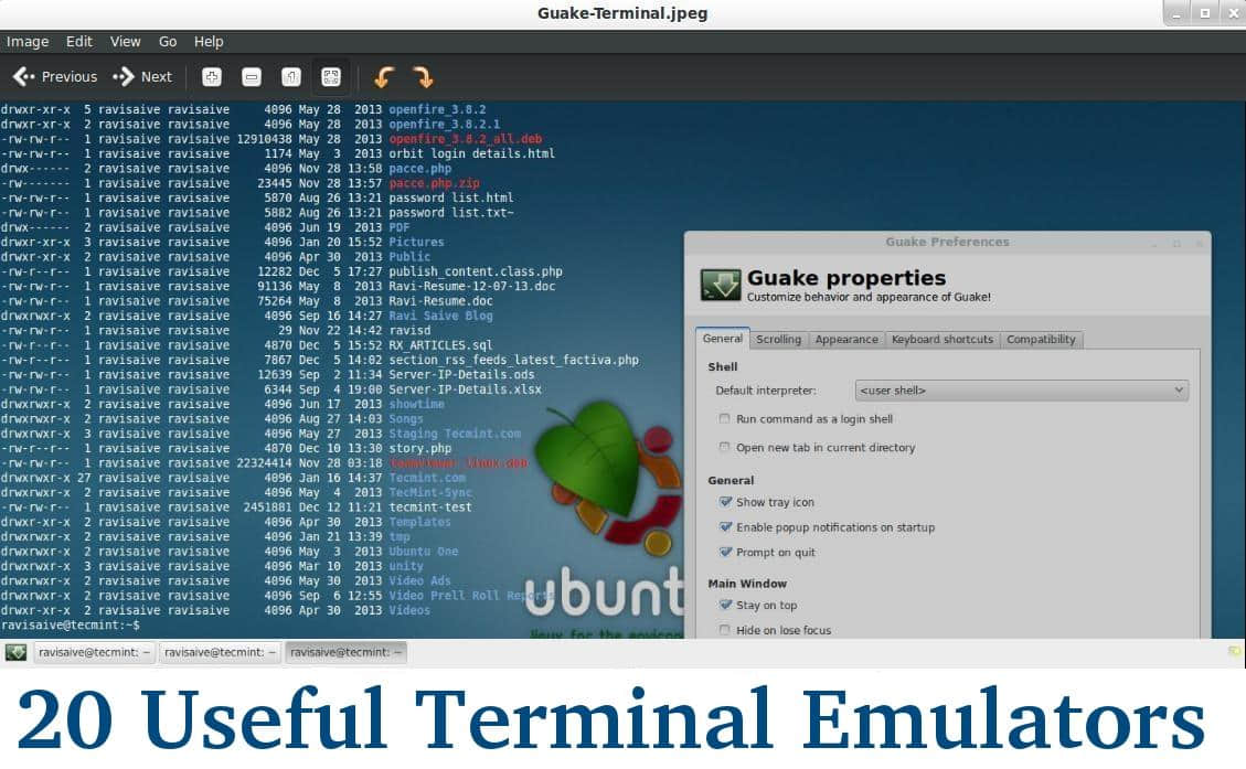 Linux Terminal Emulators