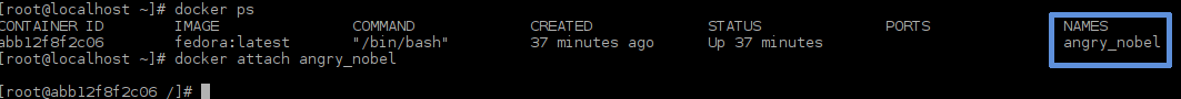 listing with docker ps and attaching with docker attach