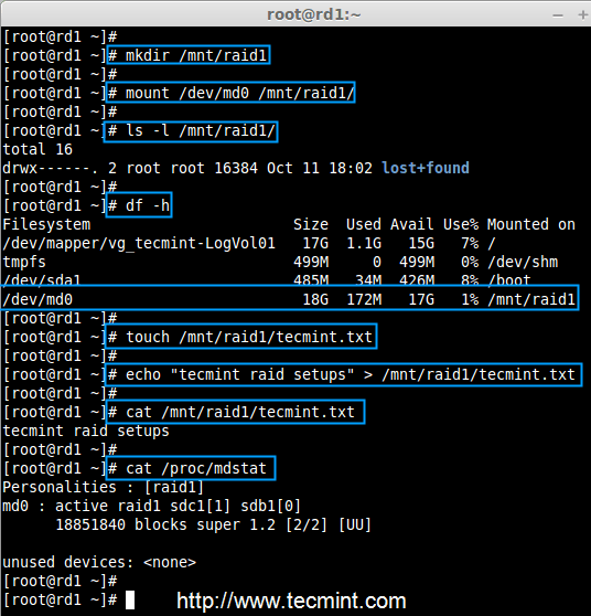 Mount Raid Device