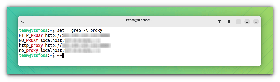 Using set command to check Proxy variables