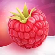 树莓派使用实例之：2 Pi R 第二篇：Web服务器