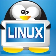 5个需要更多关爱的Linux发行版