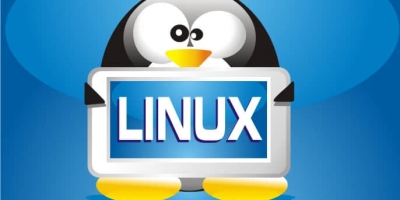 5个需要更多关爱的Linux发行版
