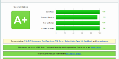 增强 nginx 的 SSL 安全性